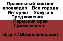 Правильный хостинг провайдер - Все города Интернет » Услуги и Предложения   . Пермский край,Гремячинск г.